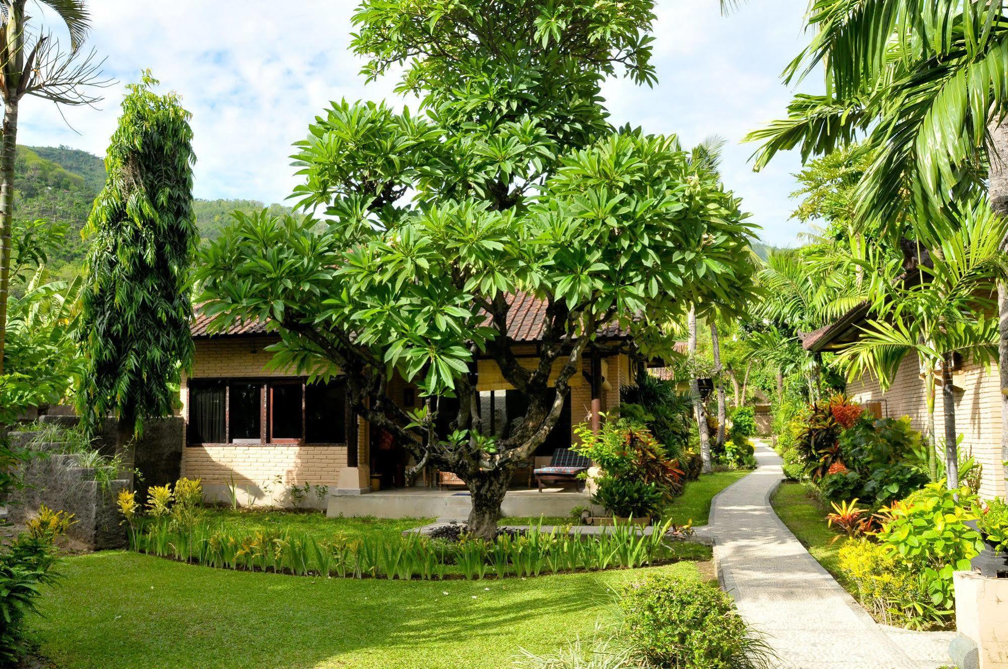 Hidden Paradise Cottages Amed Dış mekan fotoğraf